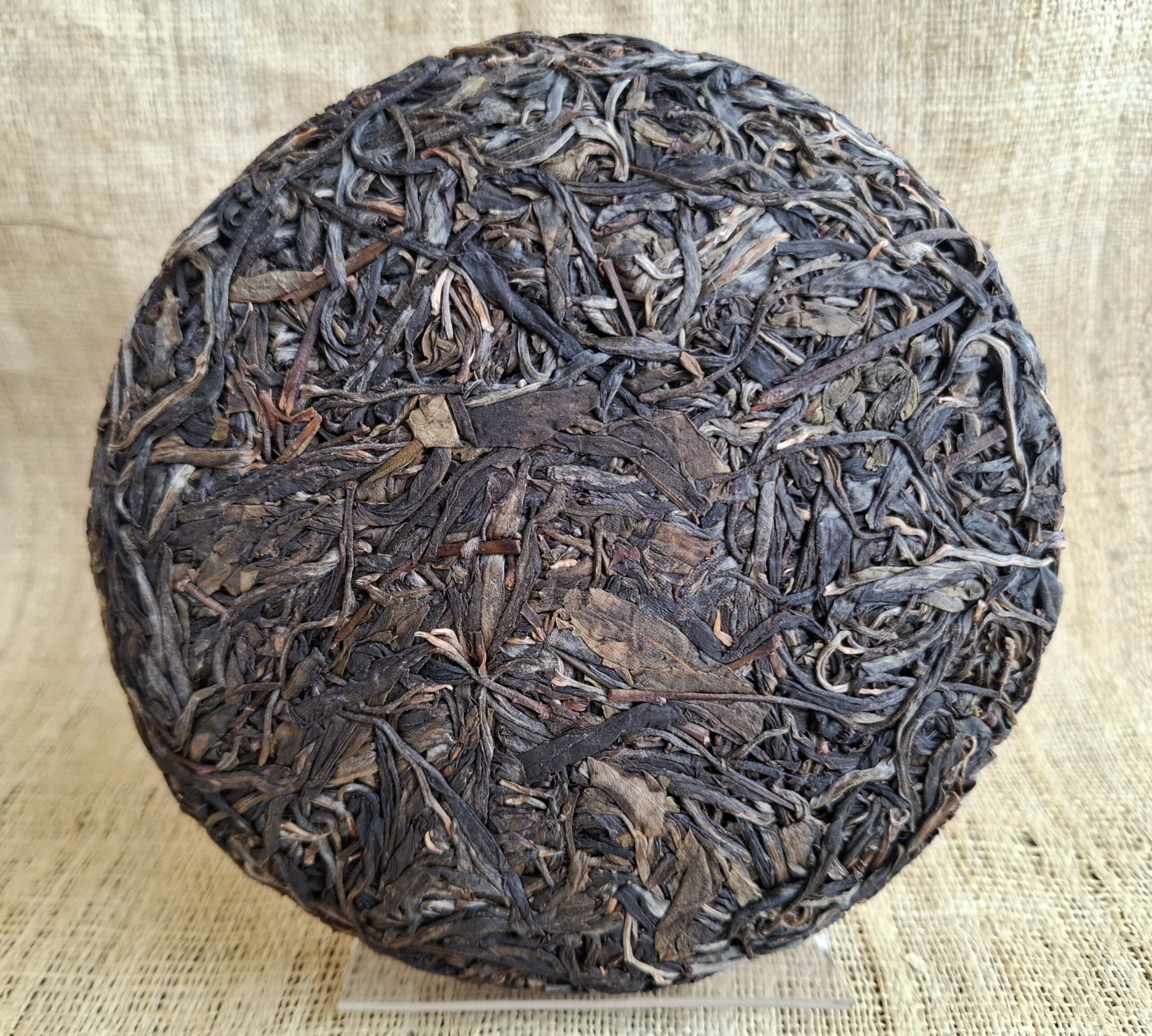 You Le Shan Spring 2022, Tall Tree 'Gao Gan' Forest Tea Tree Raw 200g Cake - Image 3