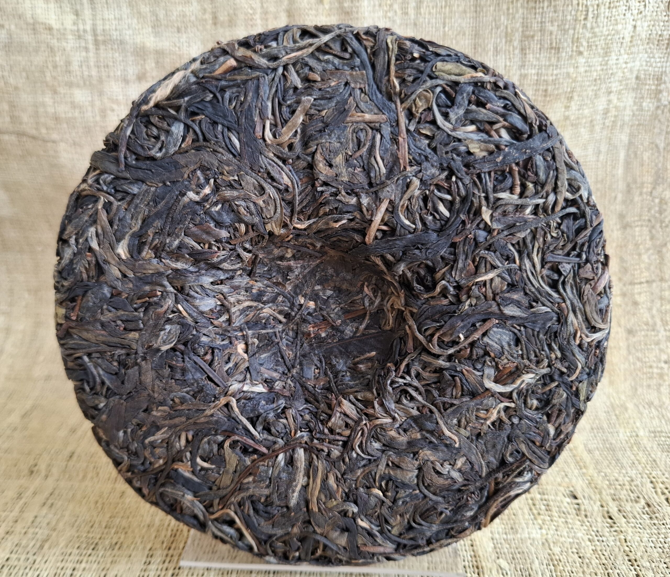 You Le Shan Spring 2022, Tall Tree 'Gao Gan' Forest Tea Tree Raw 200g Cake - Image 5