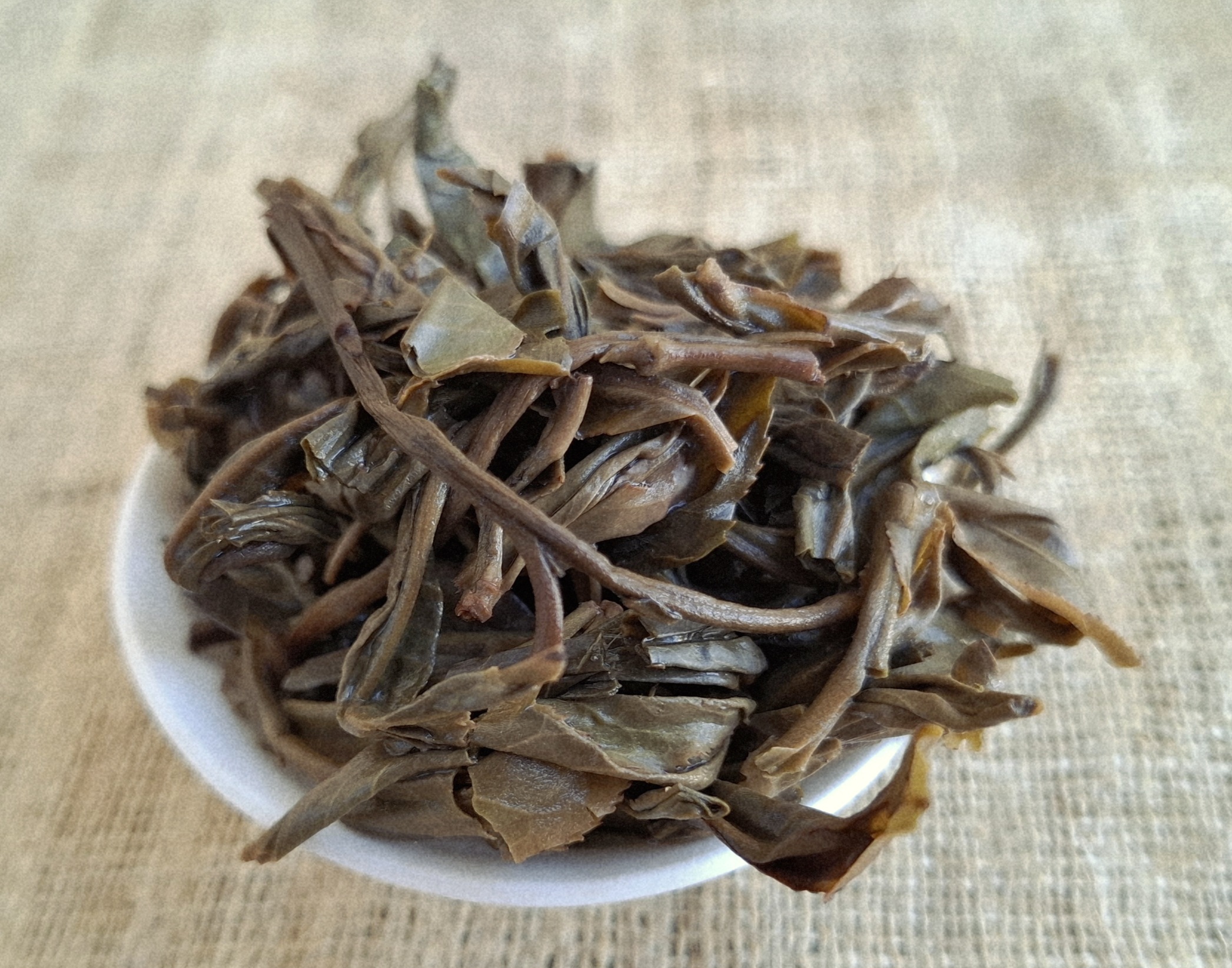 Xiao Meng Song Shui Ku 2021 leaves